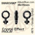 スワロフスキー Female Symbol ファンシーストーン (4876) 30x19mm - クリスタル 裏面にホイル無し