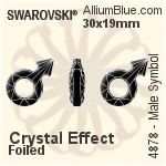 スワロフスキー Male Symbol ファンシーストーン (4878) 30x19mm - クリスタル エフェクト 裏面プラチナフォイル
