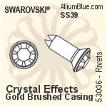 Swarovski Rivet (53006), Stainless Steel Casing, With Stones in SS39 - Colors