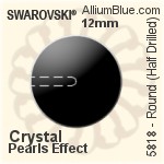 Swarovski XILION Navette Fancy Stone (4228) 10x5mm - Color With Platinum Foiling