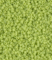 Matte Opaque Chartreuse