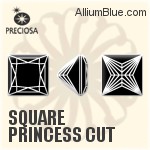 Square Princess