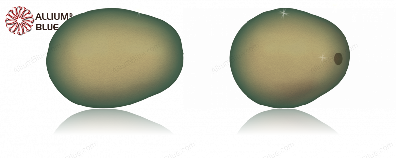 施華洛世奇 #5821 Pear-shaped Pearl