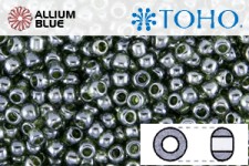 TOHO ラウンド Seed ビーズ (RR3-119) 3/0 ラウンド Extra Large - Transparent-Lustered Olivine