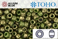 TOHO Round Seed Beads (RR3-1702) 3/0 Round Extra Large - Gilded Marble Green