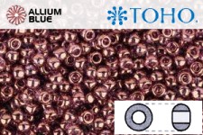 TOHO Round Seed Beads (RR6-202) 6/0 Round Large - Gold-Lustered Lilac