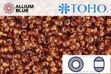TOHO Round Seed Beads (RR3-2154S) 3/0 Round Extra Large - Silver-Lined Marmalade