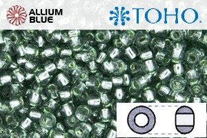 TOHO Round Seed Beads (RR6-2202) 6/0 Round Large - Silver Lined Prairie Green