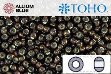 TOHO Round Seed Beads (RR3-2205) 3/0 Round Extra Large - Silver-Lined Root Beer