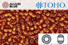 TOHO Round Seed Beads (RR15-2208) 15/0 Round Small - Silver-Lined Burnt Orange