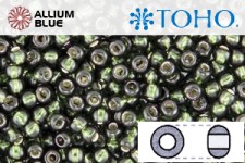 TOHO Round Seed Beads (RR6-2209) 6/0 Round Large - Dark Emerald Silver Lined