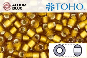 TOHO Round Seed Beads (RR3-22CF) 3/0 Round Extra Large - Silver-Lined Frosted Dk Topaz