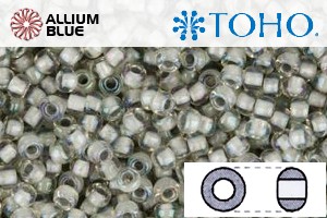 TOHO Round Seed Beads (RR8-261) 8/0 Round Medium - Inside-Color Rainbow Crystal/Gray-Lined