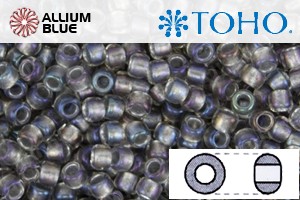 TOHO Round Seed Beads (RR6-266) 6/0 Round Large - Inside-Color Gold-Luster Crystal/Opaque Gray-Lined