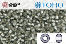 TOHO Round Seed Beads (RR8-29AF) 8/0 Round Medium - Silver-Lined Frosted Black Diamond