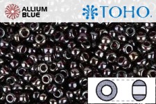 TOHO Round Seed Beads (RR11-364) 11/0 Round - Inside-Color Lustered Grape