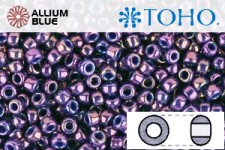 TOHO Round Seed Beads (RR6-461) 6/0 Round Large - Higher-Metallic Grape