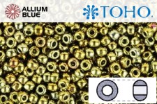 TOHO Round Seed Beads (RR15-513) 15/0 Round Small - Galvanized Carnival