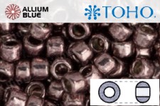 TOHO Round Seed Beads (RR6-556) 6/0 Round Large - Galvanized Mauve
