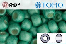 TOHO Round Seed Beads (RR3-561F) 3/0 Round Extra Large - Galvanized-Matte Green Teal