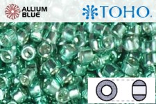 TOHO Round Seed Beads (RR3-561) 3/0 Round Extra Large - Galvanized Green Teal