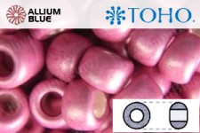 TOHO Round Seed Beads (RR11-563F) 11/0 Round - Galvanized-Matte Orchid