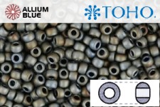 TOHO Round Seed Beads (RR3-613) 3/0 Round Extra Large - Matte-Color Iris - Gray