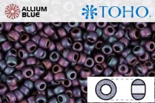 TOHO Round Seed Beads (RR3-704) 3/0 Round Extra Large - Matte-Color Andromeda