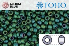 TOHO Round Seed Beads (RR3-710) 3/0 Round Extra Large - Matte-Color Aquarius