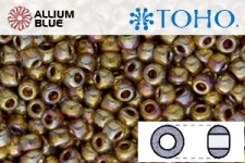 TOHO Round Seed Beads (RR3-722) 3/0 Round Extra Large - Galvanized Midas Gold