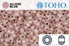 TOHO Round Seed Beads (RR8-741) 8/0 Round Medium - Copper-Lined Alabaster