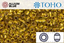 TOHO Round Seed Beads (RR8-745) 8/0 Round Medium - Copper-Lined Marigold