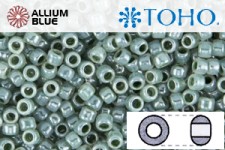 TOHO Round Seed Beads (RR3-915) 3/0 Round Extra Large - Dark Sea Foam Ceylon Pearl