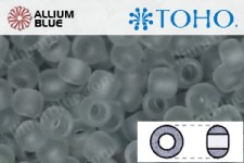 TOHO Round Seed Beads (RR3-9F) 3/0 Round Extra Large - Transparent-Frosted Lt Gray