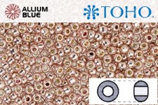 TOHO Round Seed Beads (RR6-PF552) 6/0 Round Large - PermaFinish - Galvanized Sweet Blush