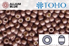 TOHO Round Seed Beads (RR3-PF556F) 3/0 Round Extra Large - PermaFinish - Matte Galvanized Mauve
