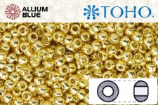 TOHO Round Seed Beads (RR6-PF557) 6/0 Round Large - PermaFinish - Galvanized Starlight
