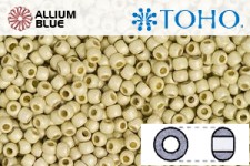 TOHO Round Seed Beads (RR3-PF558F) 3/0 Round Extra Large - PermaFinish - Matte Galvanized Aluminum