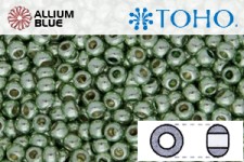 TOHO ラウンド Seed ビーズ (RR8-PF560) 8/0 ラウンド Medium - PermaFinish - Galvanized Sea Foam