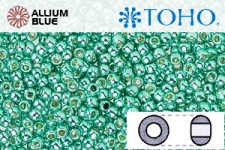 TOHO ラウンド Seed ビーズ (RR6-PF561) 6/0 ラウンド Large - PermaFinish - Galvanized Green Teal
