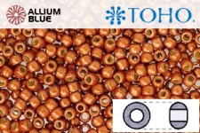 TOHO Round Seed Beads (RR6-PF562F) 6/0 Round Large - PermaFinish - Matte Galvanized Saffron