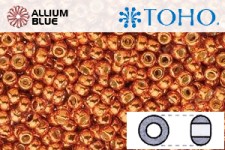 TOHO Round Seed Beads (RR3-PF562) 3/0 Round Extra Large - PermaFinish - Galvanized Saffron
