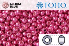 TOHO Round Seed Beads (RR11-PF563) 11/0 Round - PermaFinish - Galvanized Orchid