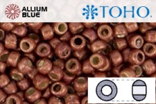 TOHO Round Seed Beads (RR3-PF564F) 3/0 Round Extra Large - PermaFinish - Matte Galvanized Brick Red