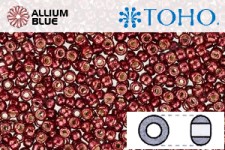 TOHO Round Seed Beads (RR3-PF564) 3/0 Round Extra Large - PermaFinish - Galvanized Brick Red