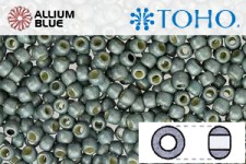 TOHO Round Seed Beads (RR15-PF565F) 15/0 Round Small - PermaFinish - Frosted Galvanized Blue Slate