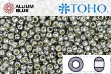 TOHO Round Seed Beads (RR8-PF565) 8/0 Round Medium - PermaFinish - Galvanized Blue Slate