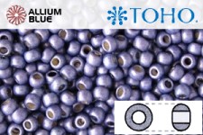 TOHO ラウンド Seed ビーズ (RR6-PF567F) 6/0 ラウンド Large - PermaFinish - Frosted Metallic Polaris