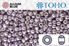TOHO Round Seed Beads (RR3-PF568) 3/0 Round Extra Large - PermaFinish - Galvanized Gun Metal Gray