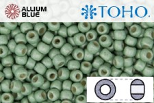 TOHO Round Seed Beads (RR15-PF570F) 15/0 Round Small - PermaFinish - Frosted Galvanized Mint Green